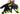 Dainese VR46 Talent Handschuhe