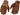 Rokker Handschuhe Tucson Rough
