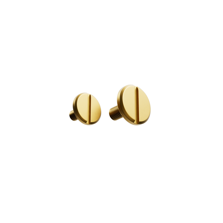 JD/ONE Visor Screw